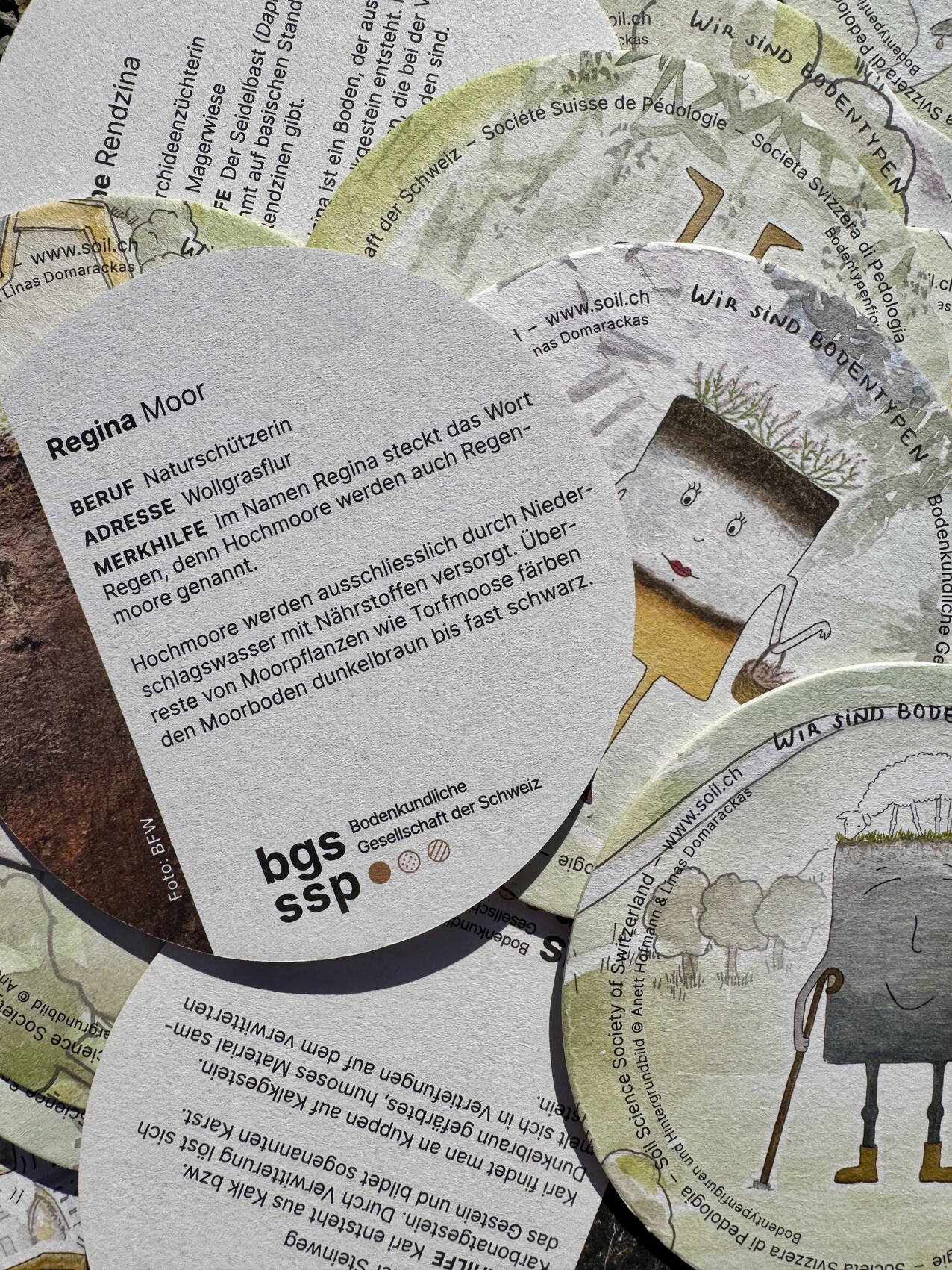 img_0726.jpg img_0726.jpg